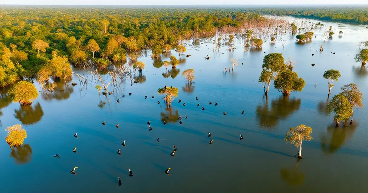 ព្រែកទាល ទទួលការគាំទ្រឯកច្ឆន្ទពី ASEAN ក្នុងនាម ឧទ្យានបេតិកភណ្ឌ ASEAN ទី ៣ របស់កម្ពុជា