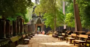 អាជ្ញាធរ APSARA ដំឡើងកៅអីជាង ២០០ នៅអង្គរ ដើម្បីការពារប្រាសាទ និងបំពេញភ្ញៀវ