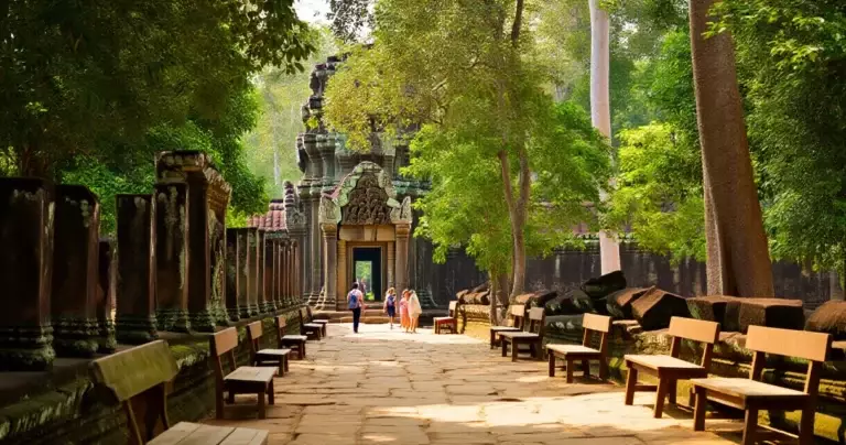 អាជ្ញាធរ APSARA ដំឡើងកៅអីជាង ២០០ នៅអង្គរ ដើម្បីការពារប្រាសាទ និងបំពេញភ្ញៀវ