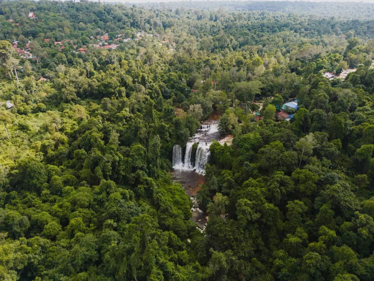 ព្រៃឈើ - ទេសភាពធម្មជាតិ