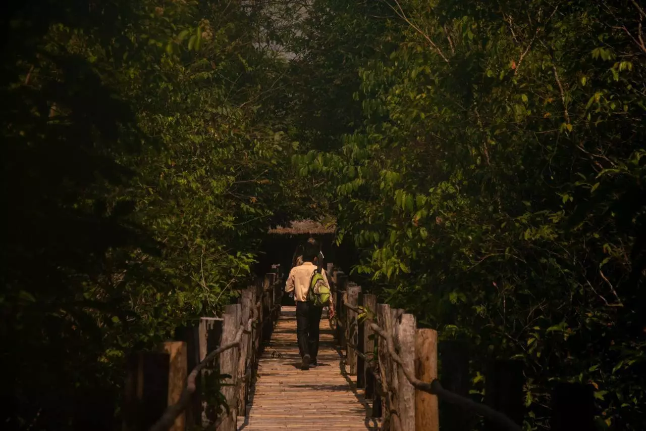 ស្ពានក្នុងព្រៃ - ទេសចរណ៍ (eco)